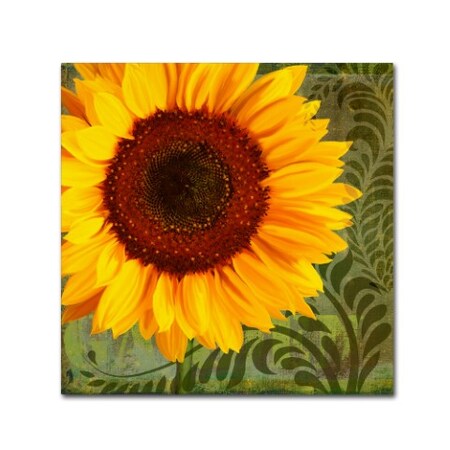 Trademark Fine Art Tina Lavoie 'Summer Sun I' Canvas Art, 14x14 ALI11029-C1414GG